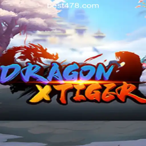 Unleashing the Adventure: DragonXTiger